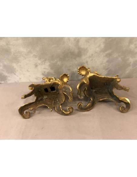 19th century Gilded Bronze Chenets - chenets, fireplace accessories-Bozaart