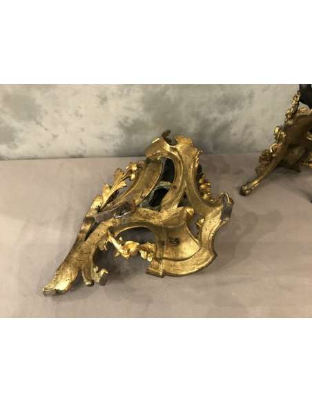 Paire de chenets doré et bronze patiné du 19ème siècle-Bozaart