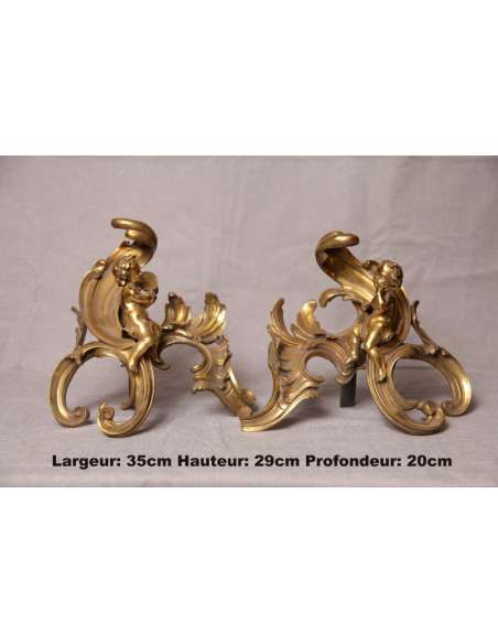 Pair Of Antique Bronze Napoleon III period Chenets - chenets, fireplace accessories-Bozaart