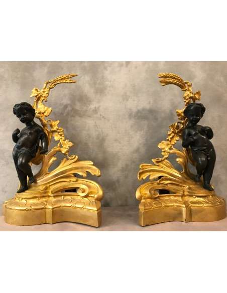 Paire De Chenets D’époque 19ème En Bronze Doré Et Bronze Patiné-Bozaart