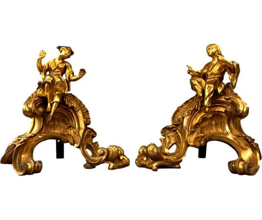 Pair Of Delightful Gilded Bronze Chinese Fireplace Fires From The 19th Century - chenets, fireplace accessories