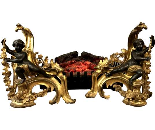 Paire de chenets doré et bronze patiné du 19ème siècle