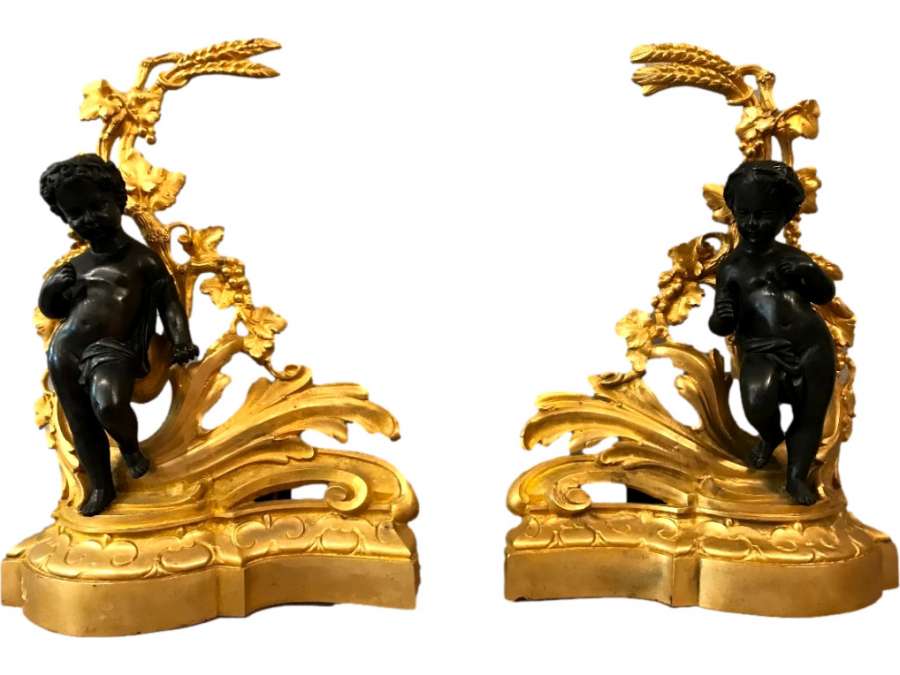 Paire De Chenets D’époque 19ème En Bronze Doré Et Bronze Patiné
