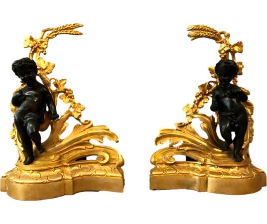 Paire De Chenets D’époque 19ème En Bronze Doré Et Bronze Patiné