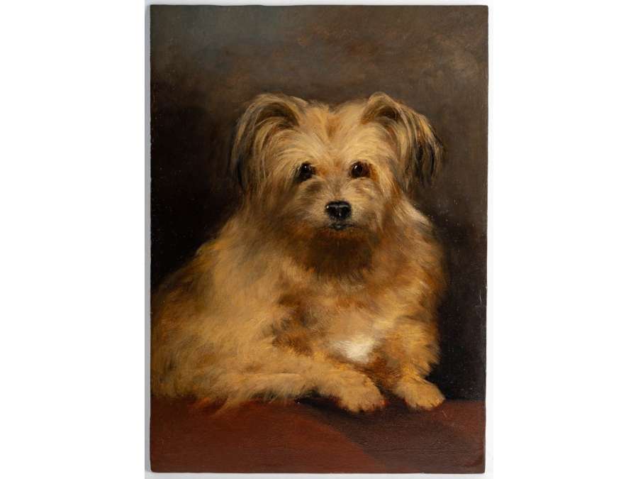 William S. ROSE (1810 - 1873) British - Dog Portrait.