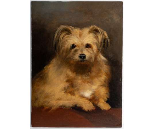 William S. ROSE (1810 - 1873) British - Dog Portrait. - Paintings of another kind