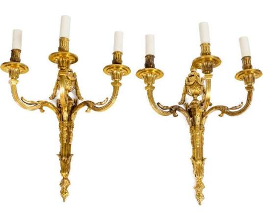 Pair Of Louis XVI Style Sconces In Gilded Bronze, Circa 1880, LS5354533B - sconces