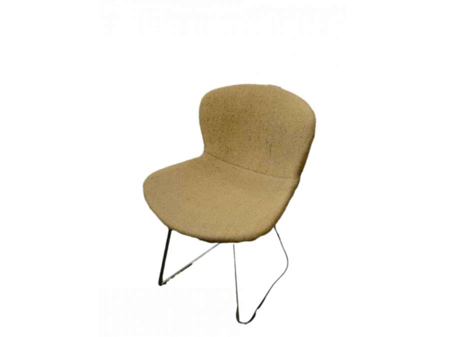 Harry Bertoïa:4 Chairs beige fabric + metal of 20th century