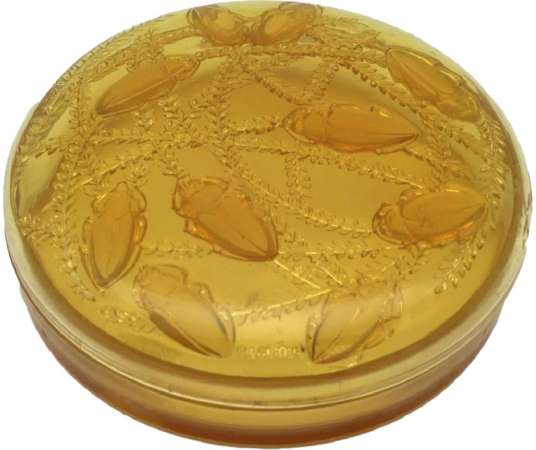 Yellow-tinted "CLEONES" box by René Lalique from the 20th century