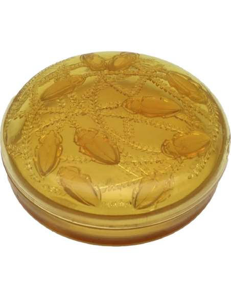 Yellow-tinted "CLEONES" box by René Lalique from the 20th century-Bozaart