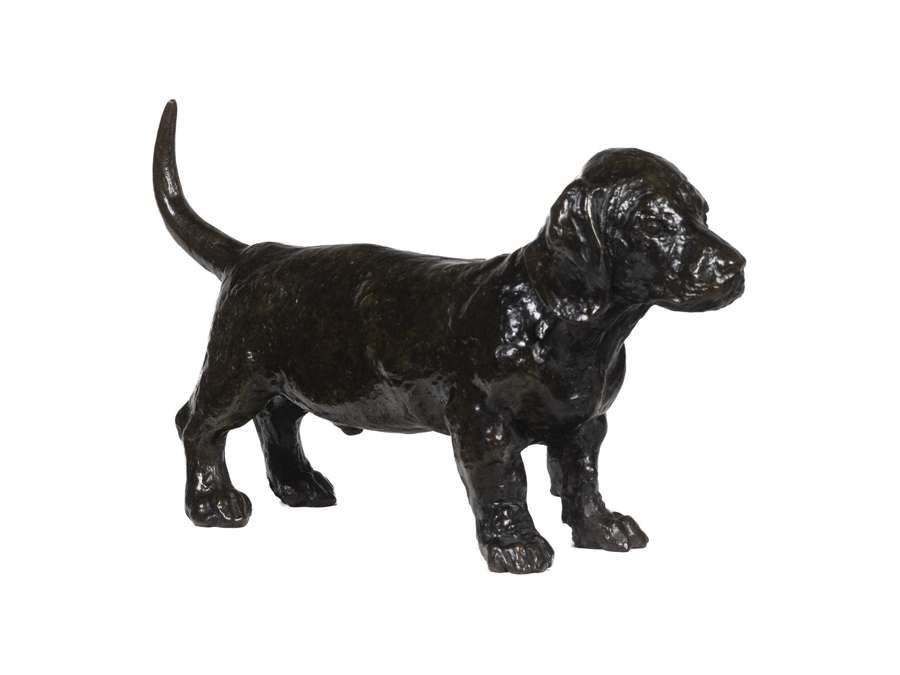 François Pompon. Sculpture en Bronze, modèle « Chien basset TOC », Année 2006.