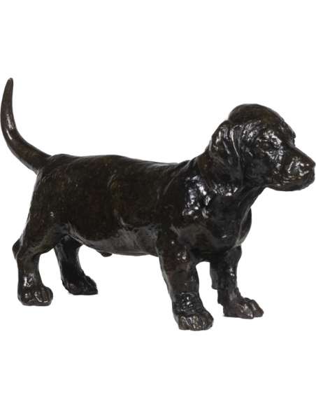 François Pompon. Bronze sculpture, model "Chien basset TOC", Year 2006.-Bozaart