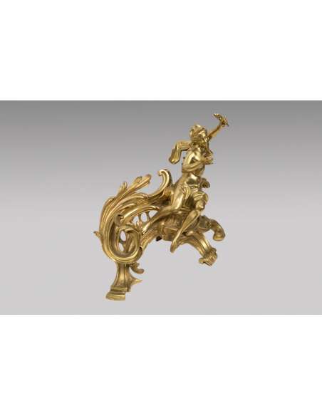 Paire De Chenets En Bronze Doré - Style Louis XV 19e Siecle - chenets, accessoires de cheminée-Bozaart